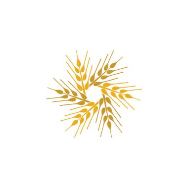 Tarım buğday logosu vektör ikonu tasarımı