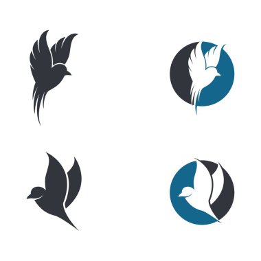 Hummingbird logo şablonu vektör resimleme tasarımı
