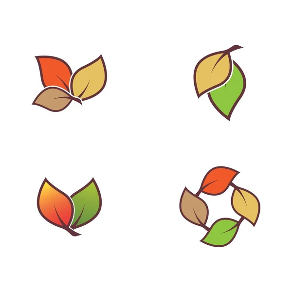 Otoño Vector Icono Ilustración Diseño — Vector de stock