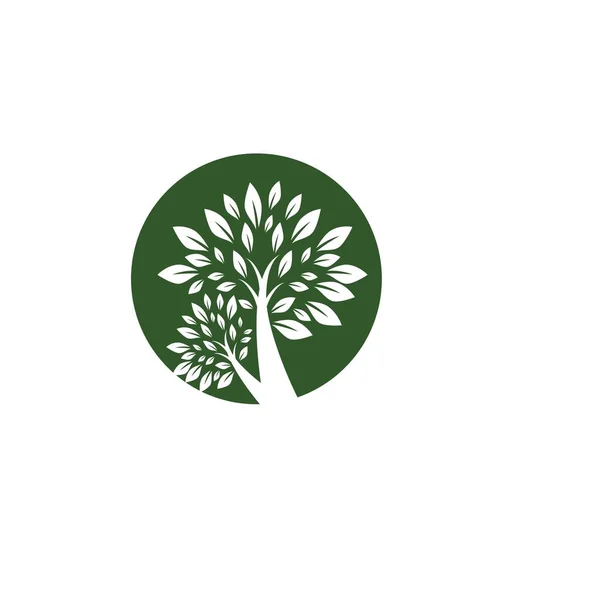 Árbol Logotipo Plantilla Vector Icono Ilustración Diseño — Vector de stock