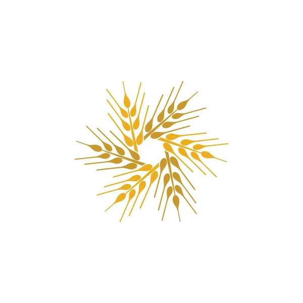 Modèle Logo Blé Agriculture Icône Vectorielle Design — Image vectorielle