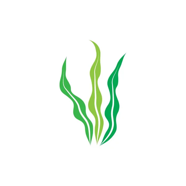 Modèle Logo Algues Vectoriel Icône Illustration Design — Image vectorielle