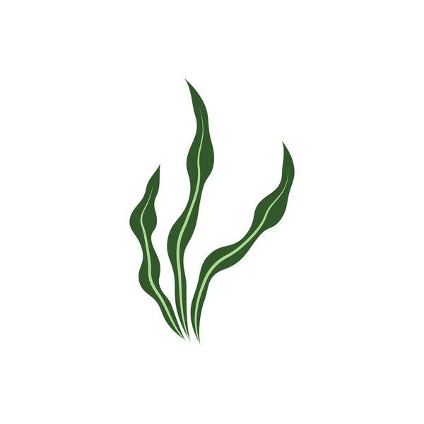 Algas Marinas Logotipo Plantilla Vector Icono Ilustración Diseño — Archivo Imágenes Vectoriales