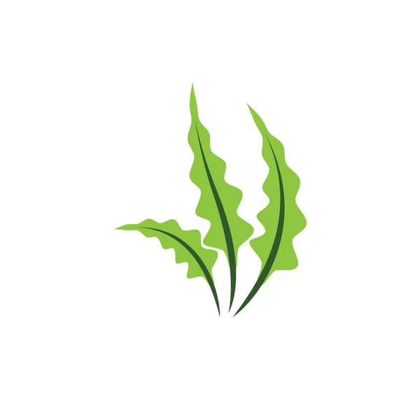 Seaweed Logo Template Vector Icon Illustration Design — Stockvector