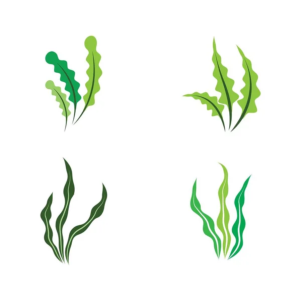 Seaweed Logo Template Vector Icon Illustration Design — Vetor de Stock