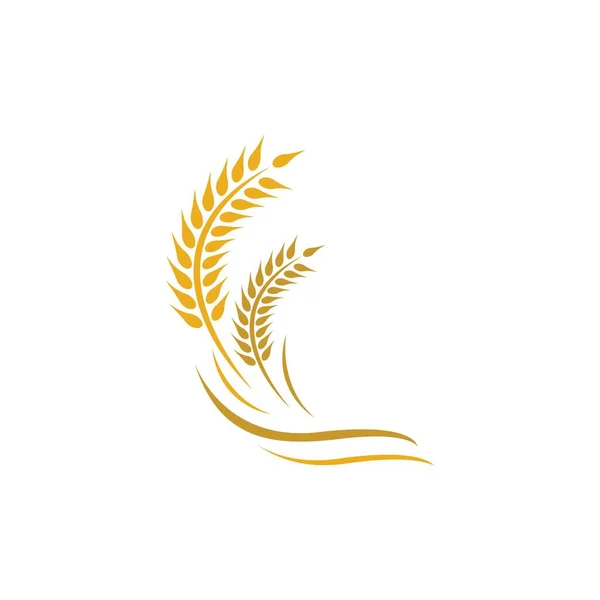 Landbouw Tarwe Logo Template Vector Pictogram Ontwerp — Stockvector