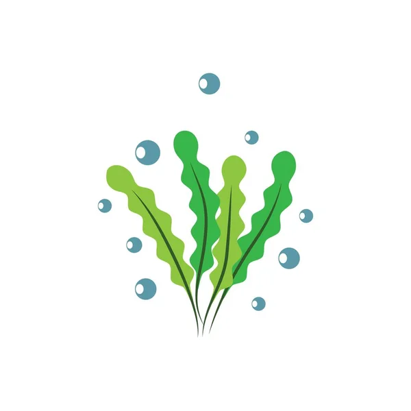 Algas Marinas Logotipo Plantilla Vector Icono Ilustración Diseño — Vector de stock