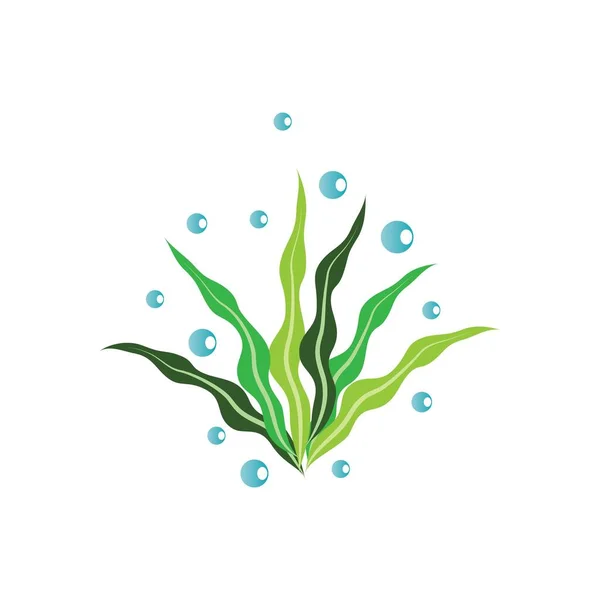 Modèle Logo Algues Vectoriel Icône Illustration Design — Image vectorielle