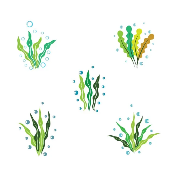 Seaweed Logo Template Vector Icon Illustration Design — Vetor de Stock
