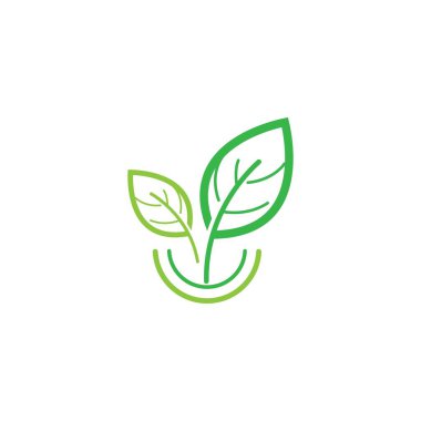 Yaprak logo vektör illüstrasyonu