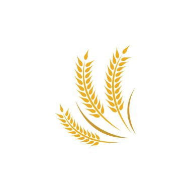 Buğday vektörü resimleme tasarımı