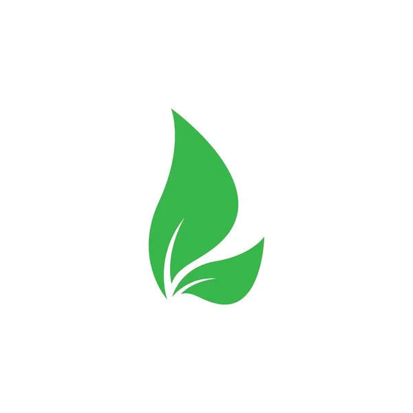 Folha Logotipo Ícone Vetor Ilustração — Vetor de Stock