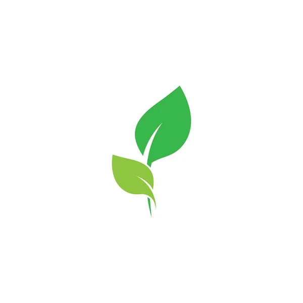 Leaf Logo Vector Icon Illustration — Wektor stockowy