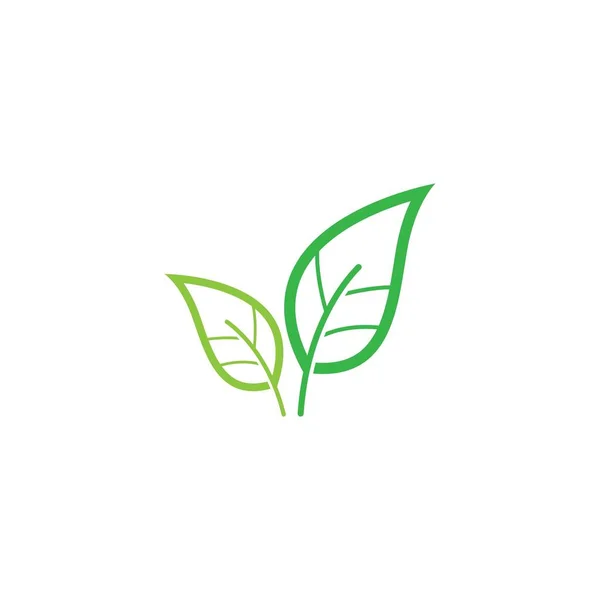 Leaf Logo Vector Icon Illustration — Stock Vector