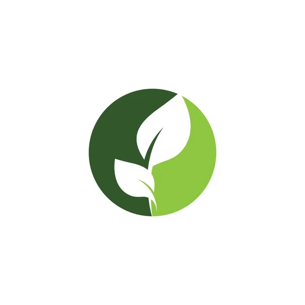 Ecología Logotipo Plantilla Vector Icono — Archivo Imágenes Vectoriales