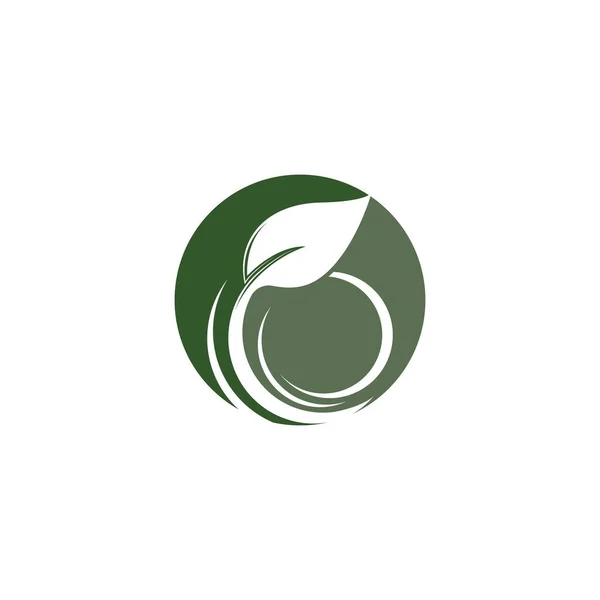Ecology Logo Template Vector Icon — Stock Vector