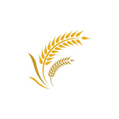 Buğday logosu vektör illüstrasyon tasarımı