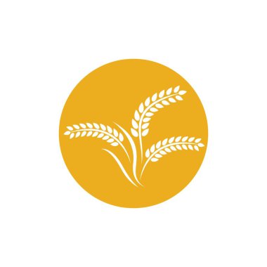 Buğday logosu vektör illüstrasyon tasarımı