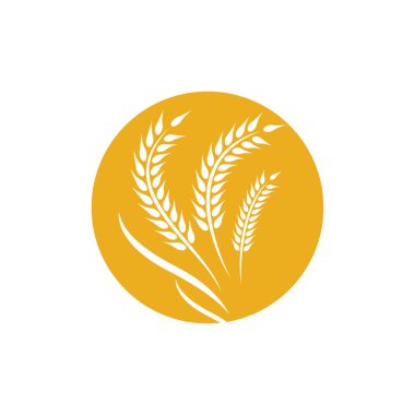 Buğday logosu vektör illüstrasyon tasarımı