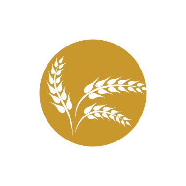 Buğday logosu vektör illüstrasyon tasarımı