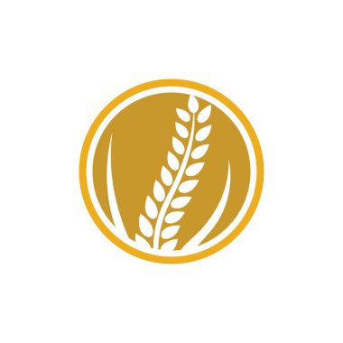 Buğday logosu vektör illüstrasyon tasarımı