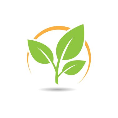 Yaprak logo vektör illüstrasyonu
