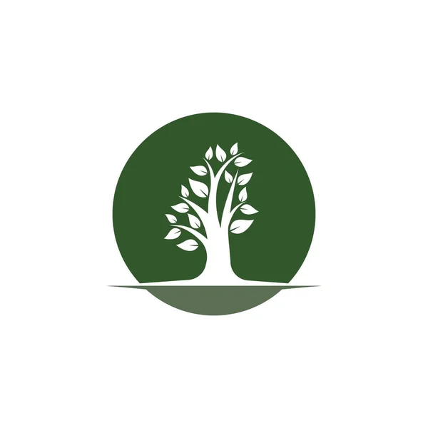Baum Logo Vorlage Vektor Symbol Illustration — Stockvektor