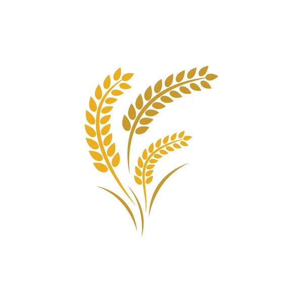 Wheat Logo Vector Icon Illustration Design — Stock Vector