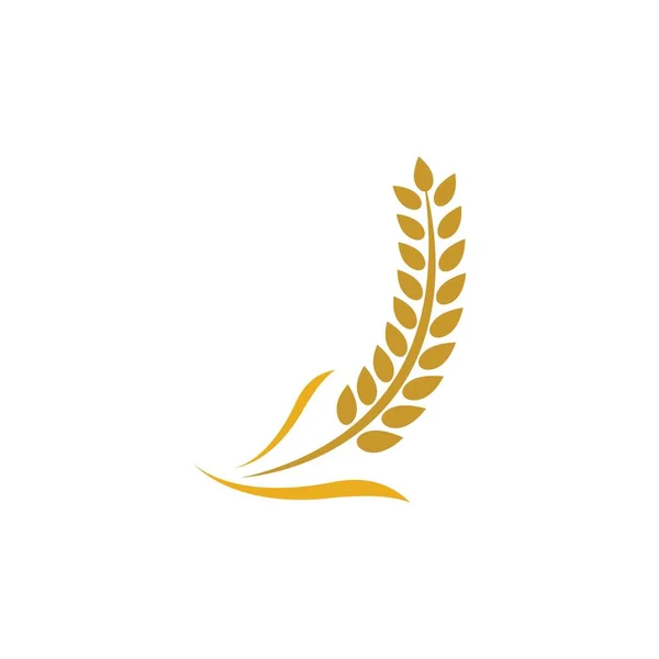 Buğday logosu vektör illüstrasyon tasarımı