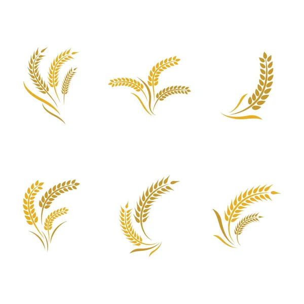 Weizen Logo Vektor Symbol Illustration Design — Stockvektor