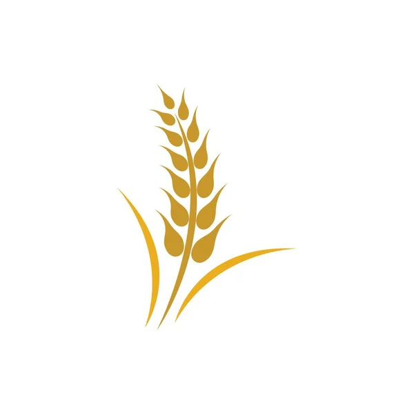 Buğday logosu vektör illüstrasyon tasarımı