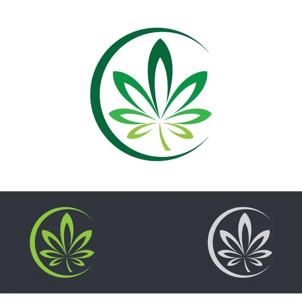 Logo Cannabis Vector Creativo Icono Ilustración — Vector de stock