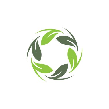 Yaprak logosu vektör simgesi tasarımı