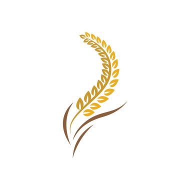 Buğday logosu vektör tasarımı