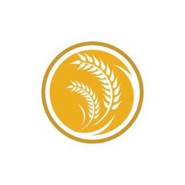 Buğday logosu vektör tasarımı
