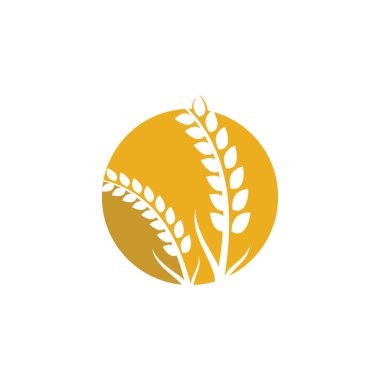 Buğday logosu vektör illüstrasyon tasarımı