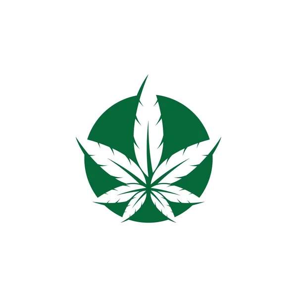 Cannabis Logo Kreativ Vektor Ikon Illustration — Stock vektor