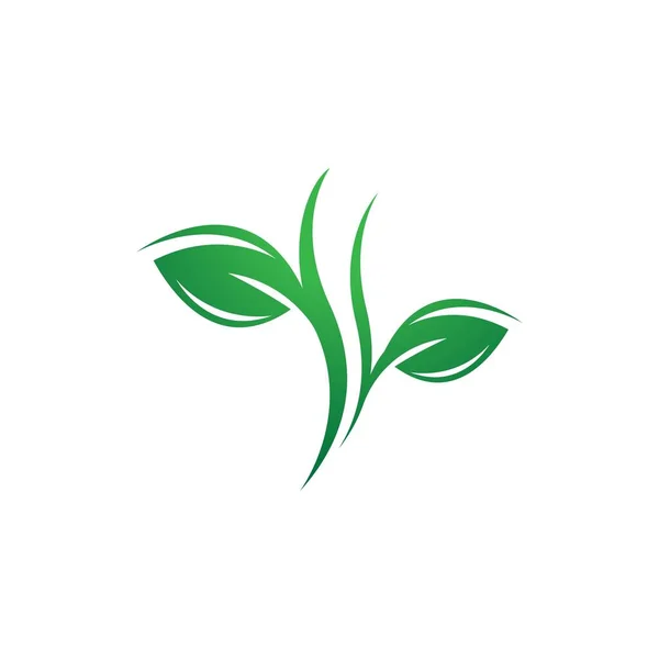 Ökologie Logo Vorlage Vektor Icon Design — Stockvektor