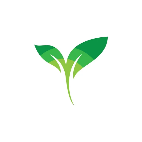 Blatt Logo Vorlage Vektor Symbol Design — Stockvektor
