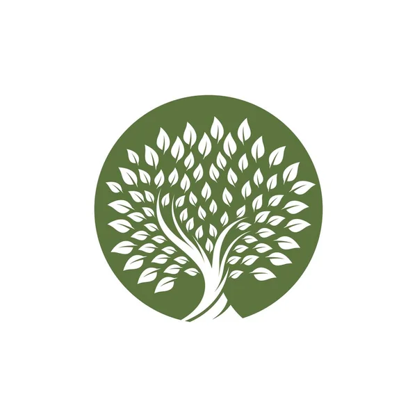 Дерево Шаблон Логотипу Векторний Дизайн Піктограми — стоковий вектор