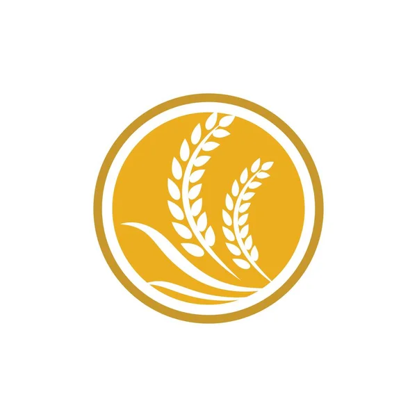 Buğday Logosu Vektör Tasarımı — Stok Vektör