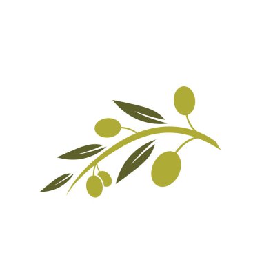 Zeytin logosu resim tasarımı