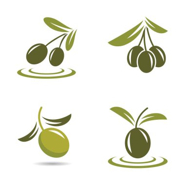 Zeytin logosu resim tasarımı