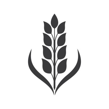 Buğday logosu resim çizimi tasarımı