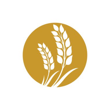 Buğday logosu resim çizimi tasarımı
