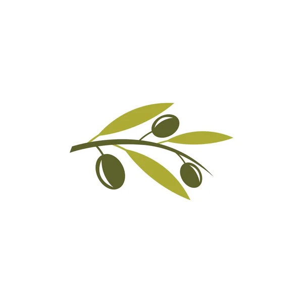 Olive Logotipo Imagens Ilustração Dersign —  Vetores de Stock