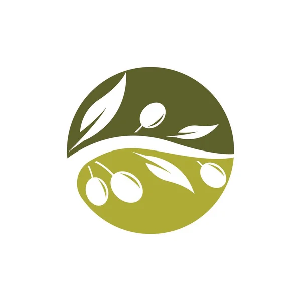 Olive Logo Images Illustration Dersign — Stock Vector