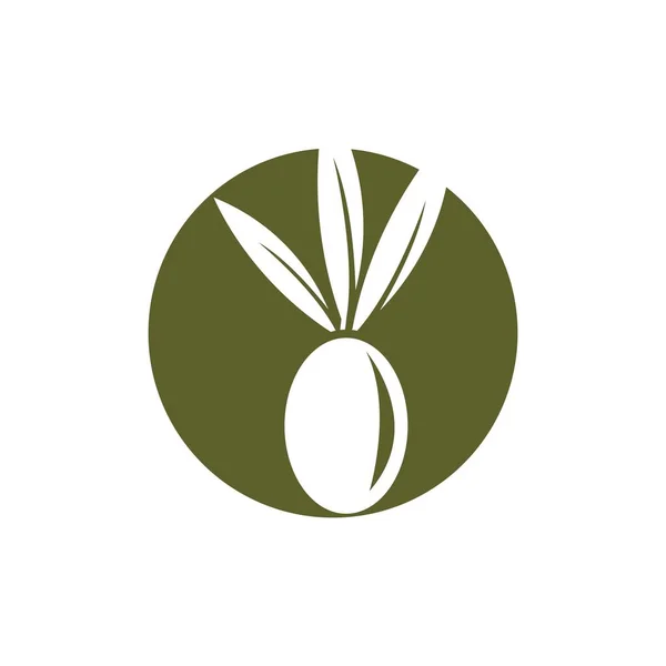 Olive Logo Bilder Illustration Dersign — Stockvektor