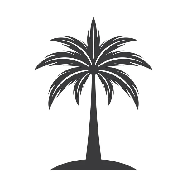 Palm Boom Logo Afbeeldingen Illustratie Ontwerp — Stockvector