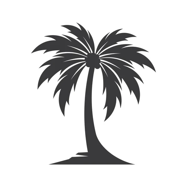 Palm Boom Logo Afbeeldingen Illustratie Ontwerp — Stockvector